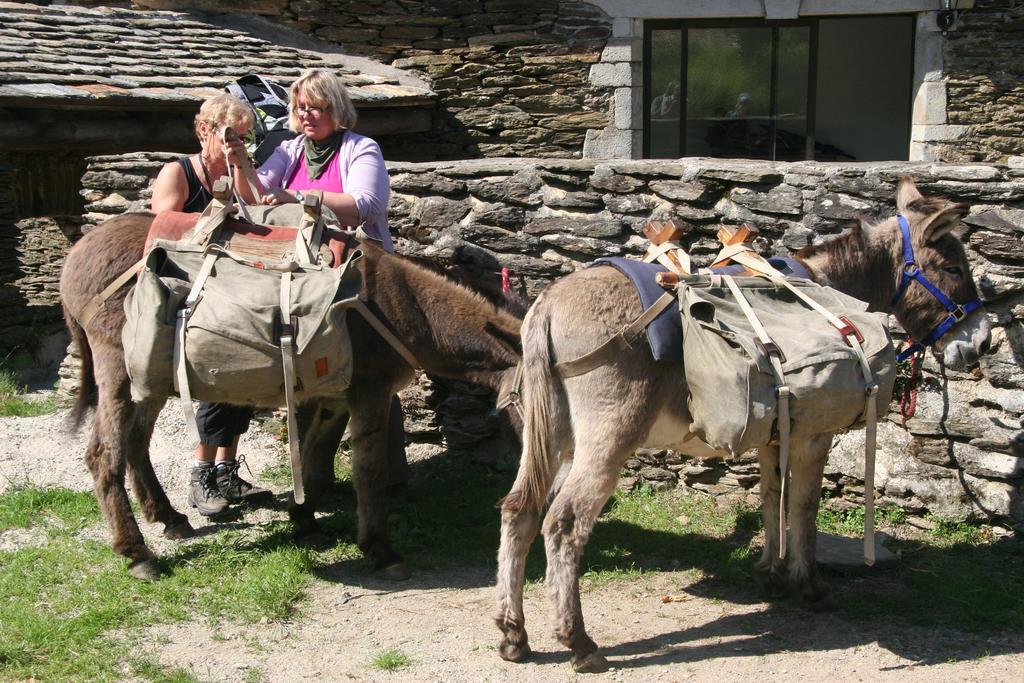 Chambres D'Hotes Lou-Rey Le Collet-de-Dèze Kültér fotó